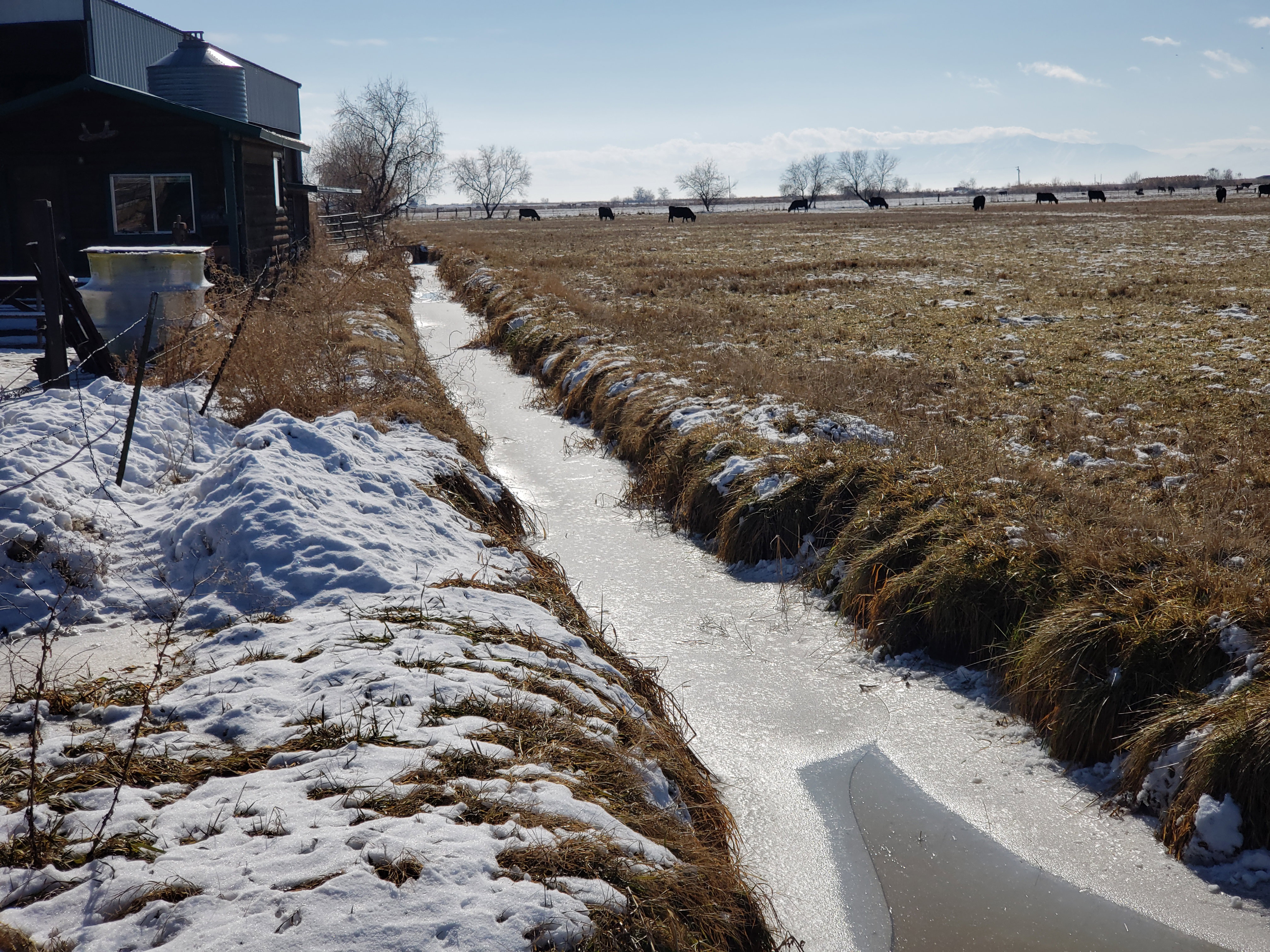 The irrigation Ditch