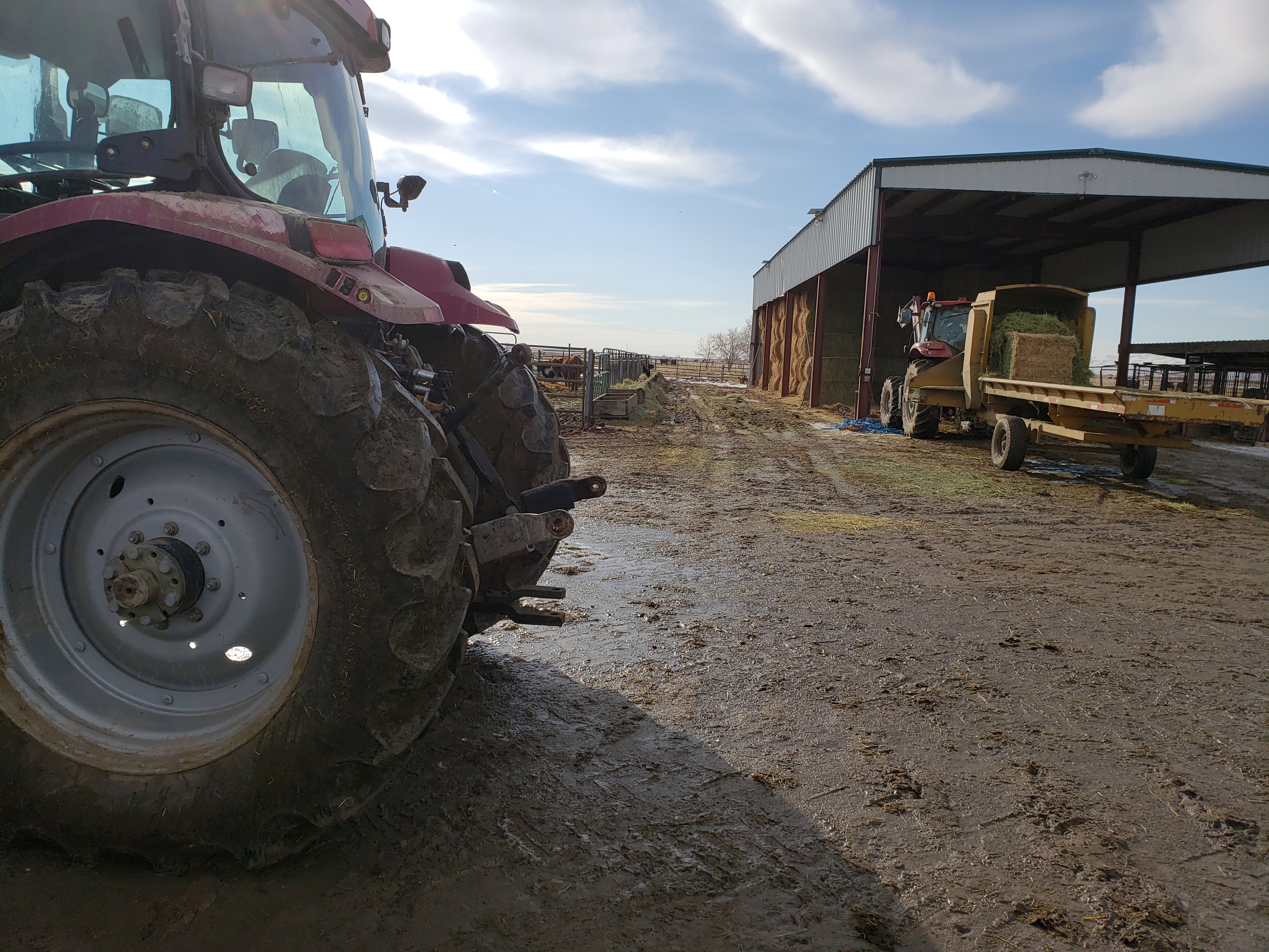 1 of the Large Tractor\\\'s