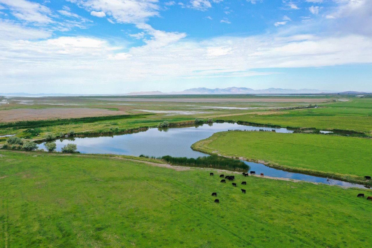 South Constant Stock Pond