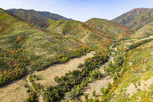 Photo 46 of 533 N LEFT FORK HOBBLE CREEK CYN