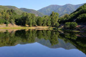 Photo 41 of 533 N LEFT FORK HOBBLE CREEK CYN