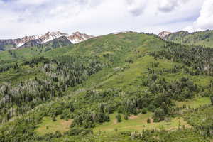 Photo 20 of 533 N LEFT FORK HOBBLE CREEK CYN