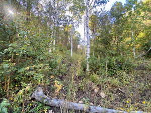 Photo 6 of 111  UPPER WHITTEMORE DR
