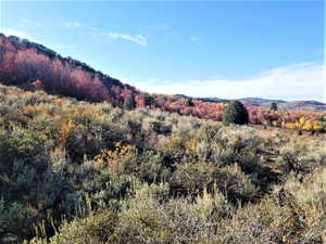 Photo 8 of 1354  STAUFFER CANYON RD