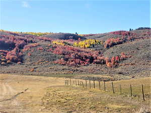 Photo 7 of 1354  STAUFFER CANYON RD