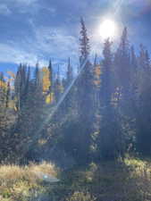Photo 1 of 1595  ALEXANDER CANYON RD