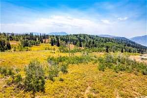 View - Powder Mtn Lot for Sale