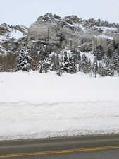 Photo 1 of 9755 E LITTLE COTTONWOOD CYN