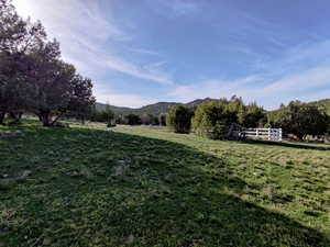 Clearing on east 5 acre parcel