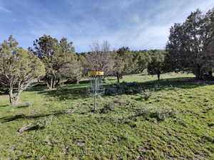 Frisbee golf on east parcel