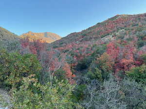 Photo 1 of 1200 S SOUTH POLE CANYON ROAD