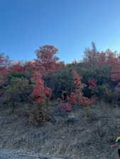 Photo 2 of 1200 S SOUTH POLE CANYON ROAD