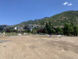 View to north from center of lot.