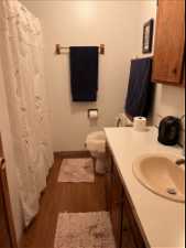 Bathroom featuring wood-type flooring, toilet, vanity, and shower curtain