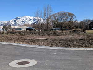 Lot 1