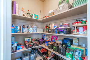 one of two pantries in kitchen