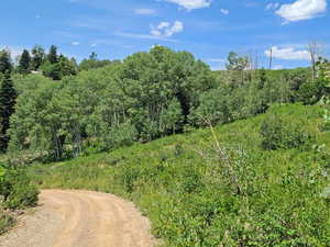 Photo 9 of 52 E OVER LOOK DR