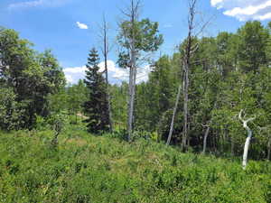 Photo 8 of 52 E OVER LOOK DR