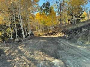 Photo 1 of 52 E OVER LOOK DR