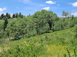 Photo 7 of 52 E OVER LOOK DR
