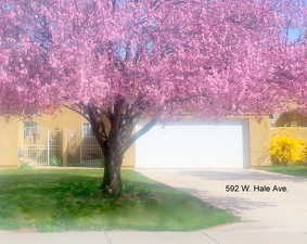 Photo 1 of 592 W HALE AVE