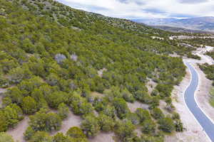 Photo 7 of 2905 E LA SAL PEAK DR