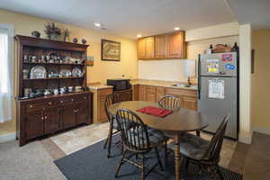 Basement Mini Kitchen