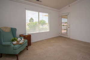 Primary Vaulted Bedroom