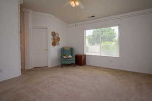 Primary Vaulted Bedroom