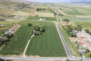 View of bird's eye view