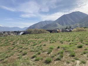 View of mountain view