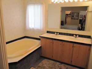 Master Bathroom featuring natural light, mirror, dual bowl vanity, and a tub