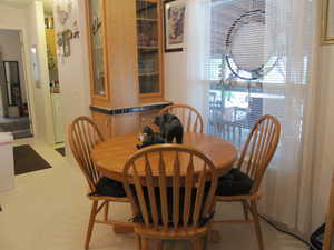 Dining room featuring natural light