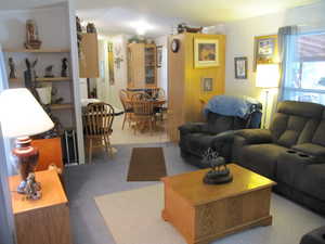 Carpeted living room featuring natural light