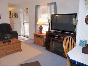 Carpeted living room featuring natural light and TV