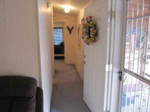 Hallway featuring carpet and natural light