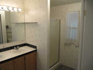 Master bathroom featuring toilet, mirror, shower cabin, and dual bowl vanity