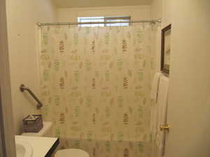 Main bathroom with shower curtain, mirror, washbasin, and toilet