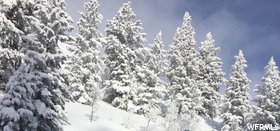500 inches of snow