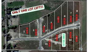 Aerial overview of property's location