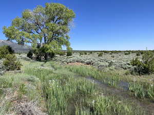 View of nature featuring a water view