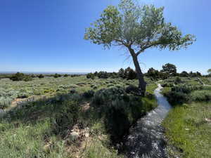 View of mother earth's splendor featuring a water view