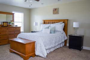 Bedroom featuring a ceiling fan, carpet, and natural light