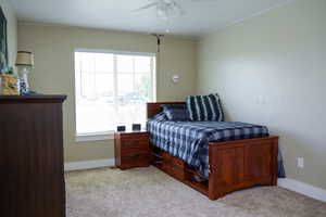 Carpeted bedroom featuring a ceiling fan and natural light