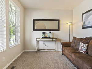 Carpeted living room featuring natural light