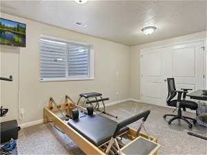 Workout area with carpet and TV