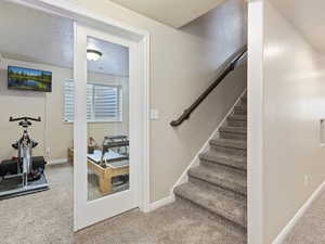 Stairway with carpet and TV