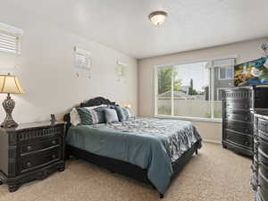 Carpeted bedroom with natural light and TV