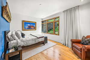 Bedroom featuring wood-type flooring and natural light