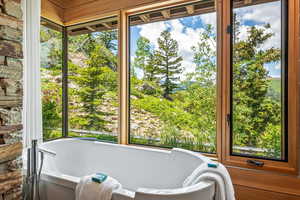 Bathroom with a bathing tub